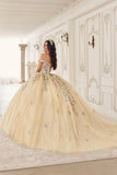 Ladivine 15724 Floral Lace Applique Quinceanera Gown Removable Capelet